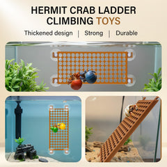 Enhon hermit crab climbing toy in-tank view highlights vertical play space.