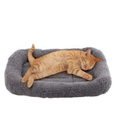 Enjoying Cat Mat Bed outer 10x15 provides ample space for small pets to curl.