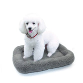 Enjoying Cat Mat Bed outer 16x22 creates a warm nest for pets