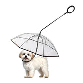 Enjoying dog umbrella small-breed-coverage keeps your pup dry during rainy walks.