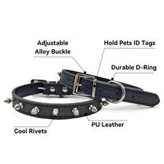 Enjoying spiked collar D-ring and tag ring for secure leashing and ID