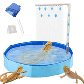 Enochainchin large bearded dragon pool side view highlighting spacious, safe soaking and gentle-water bathing.