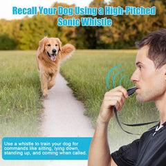EOEDEPAZ ultrasonic whistle offers long-range recall training for outdoor sessions.