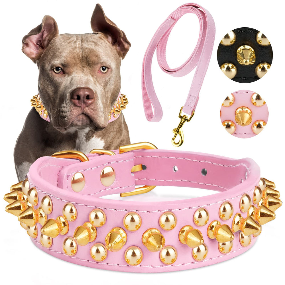 Epesiri golden spike collar in pink for dogs, stylish protection during play.
