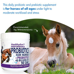 Equa Holistics HealthyGut Probiotics for Horses label emphasizes ingredients and purity standards.