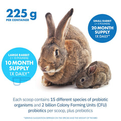 Equa Holistics HealthyGut rabbit diet-serving visual showing daily portions