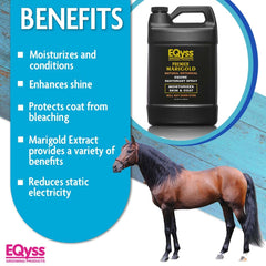 Eqyss Premier Marigold coat shine while repelling dust and dirt.