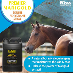 Eqyss Premier Marigold application on mane and tail for hydration and detangling.
