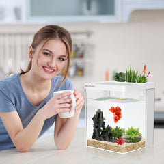 ERAARK Smart Betta Tank desk decor adds charm to home or office.