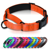 Erbine martingale collar neoprene padding closeup highlights daily wear comfort.