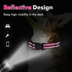 Erbine martingale collar reflective strap at night enhances visibility and safety.
