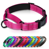 Erbine Neoprene padded martingale collar front view for comfortable daily walks.