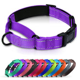 Erbine neoprene padded martingale collar purple main view for daily comfort