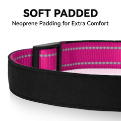 Erbine reflective dog collar adjustable sizes cover small to extra-large dogs.