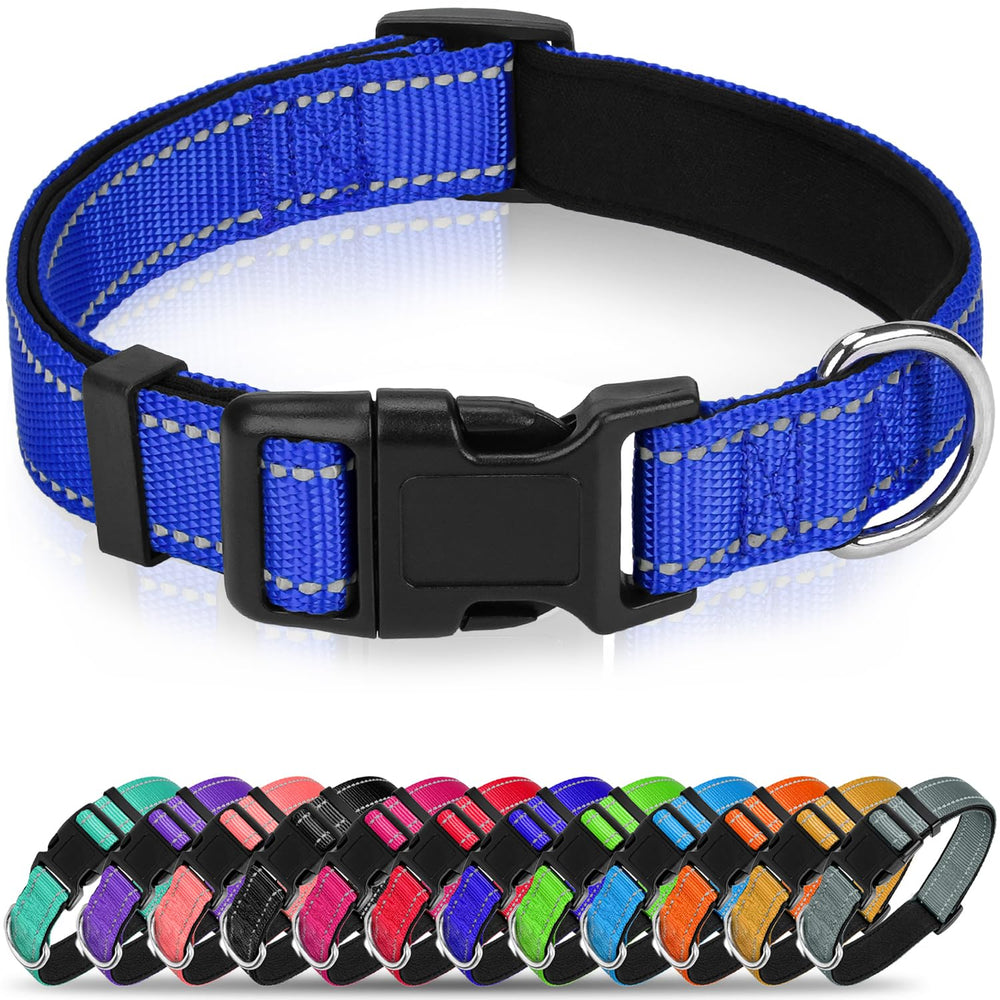 Erbine reflective dog collar with neoprene padding for nighttime safety.