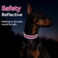 Erbine reflective dog collar enhances night safety visibility in low light conditions.