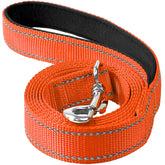 Erbine reflective nylon dog leash for night walks improves visibility.