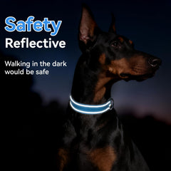 Erbine Reflective strip in low light enhances pet safety during walks