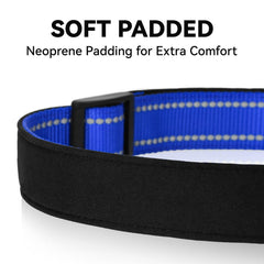 Erbine soft nylon neoprene collar offers comfortable everyday wear.