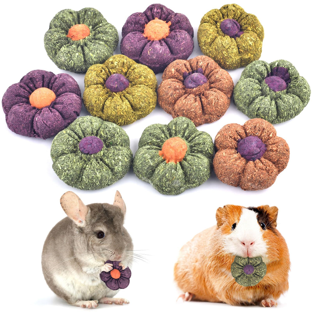 ERKOON Rabbit Chew Blocks closeup shows edible texture for dental care.