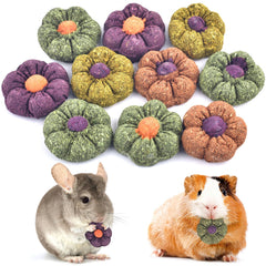ERKOON Rabbit Chew Blocks closeup shows edible texture for dental care.