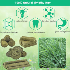 ERKOON small-animal enrichment toy demonstrates curiosity and daily chew routines.