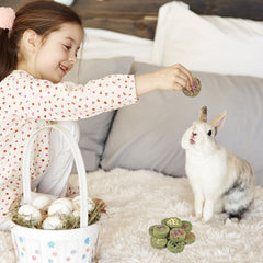 ERKOON Treats small animals dental chew – promotes healthy chewing and digestion in rabbits, guinea pigs, chinchillas.