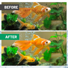 Esctabalt ready-to-use filter element offers hassle-free installation.