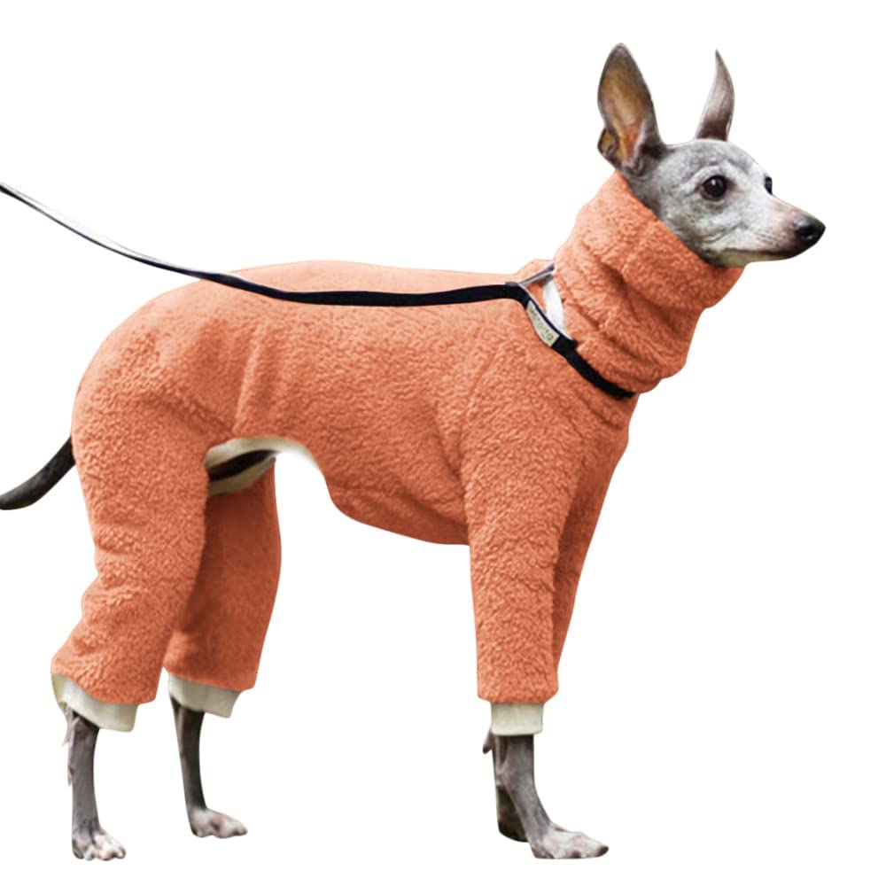 Esobo winter dog coat back view shows durable warmth for dogs of all sizes.