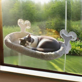 Essovee cat window perch with suction cups for secure window mounting.