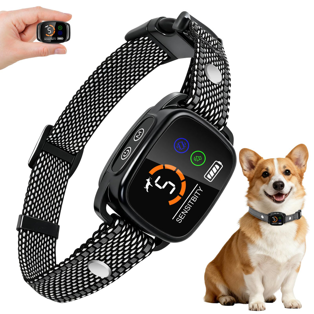 ETACCU dog bark collar front view shows compact ultrasonic unit for small dogs