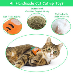 ETEKYER catnip kitty toys indoor play promotes chasing and exercise