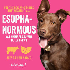 etta says! Esophonormous stuffed bully stick full chew action for dogs