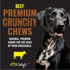 Etta Says Premium Crunchy 4.5-inch beef dog chew close-up texture reveals crunchy bite.