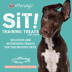 Etta Says Sit Training Treats puppy-friendly bite-size rewards during sessions.