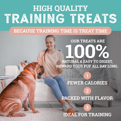 Etta Says Sit Training Treats training session visual with dog performing recall.
