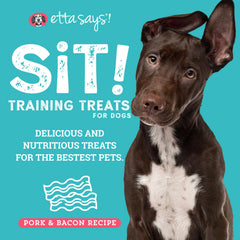 etta says! Training Treats close-up texture highlights tender, low-calorie bites for training.