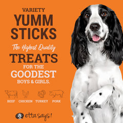 Etta Says Yumm Sticks variety label close-up highlighting human-grade quality