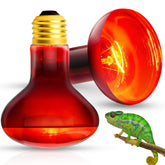 EvaStary 100W reptile heat lamp basking closeup supports warm basking and active behavior.