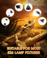 EvaStary 50W reptile heat lamp with E26 base fits standard fixtures