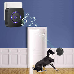 Evernary dog door bell transmitter mounted on door demonstrates quick touch-to-ring action.