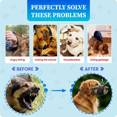 Evollax muzzle demonstrates versatile use for grooming, travel, and safe socialization.