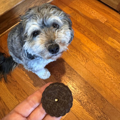 Exclusively Dog Carob Sandwich Cremes USA-baked badge signaling small-batch freshness for daily treats.