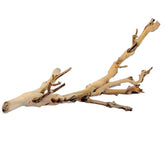 Exo Terra Forest Branch Small provides natural 3D climbing surfaces.
