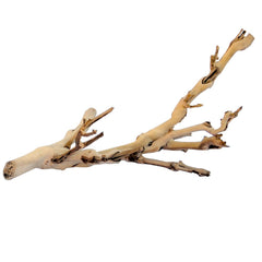 Exo Terra Forest Branch Small provides natural 3D climbing surfaces.