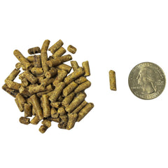 Exotic Nutrition Deluxe Squirrel Diet dried fruits add natural energy and taste.