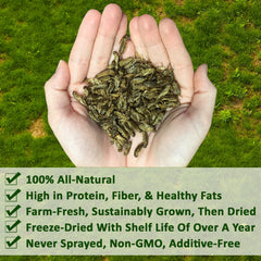 Exotic Nutrition dried crickets bag-front-view: convenient resealable packaging for storage.