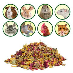 Exotic Nutrition Herbivore Treats enrichment-daily-routine invites new flavors and daily variety