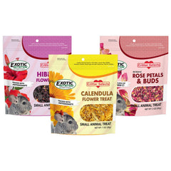 Exotic Nutrition hibiscus flowers close-up ideal for enrichment and nibbling