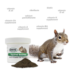 Exotic Nutrition Squirrel Booster probiotics graphic highlighting gut health support